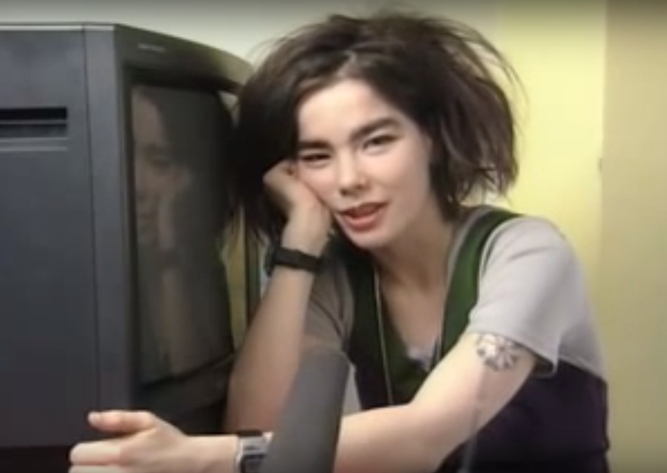 Bjork analogue televion