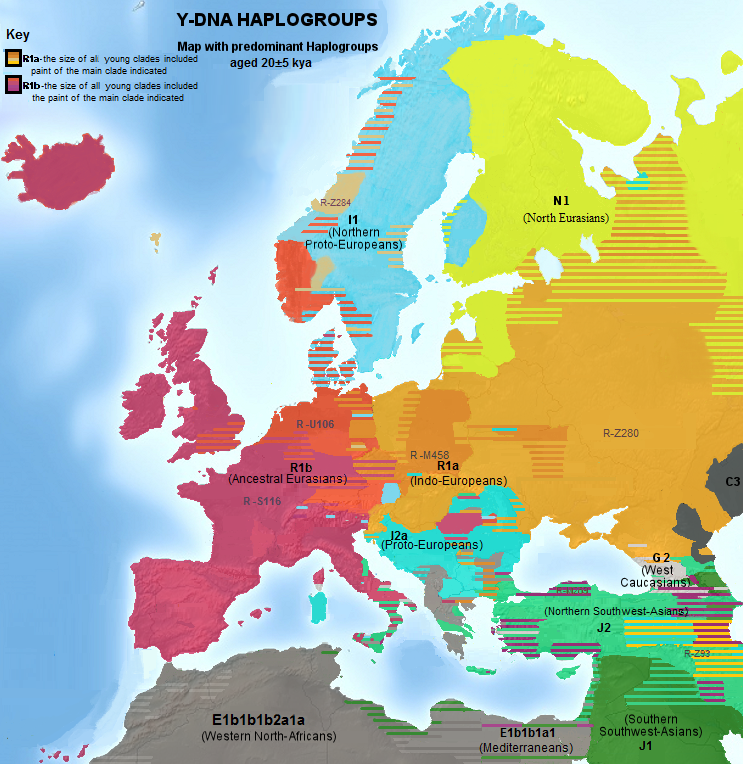 Haplogroups