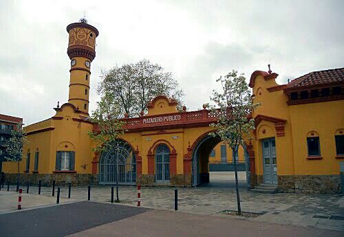 Matadero publico