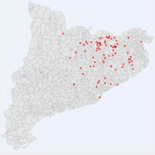 Catalunya and Casedesús family name