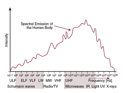 Human resonance frequencies